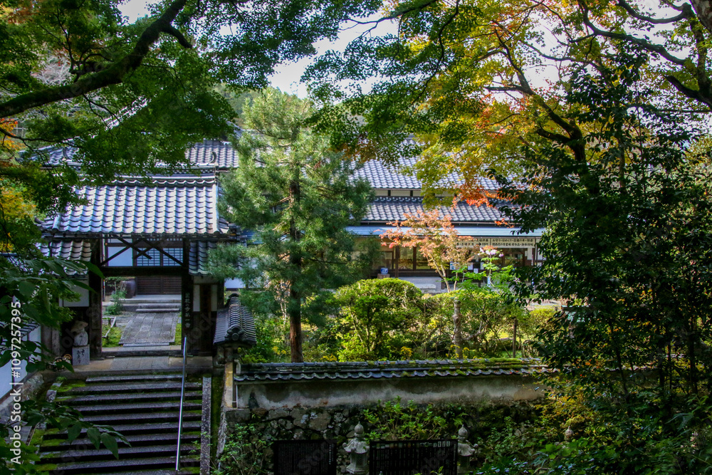 観音寺 観音寺