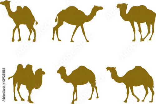 Vector sketch illustration silhouette design drawing of desert animal camel with hump