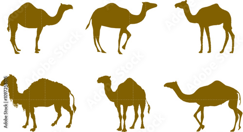 Vector sketch illustration silhouette design drawing of desert animal camel with hump