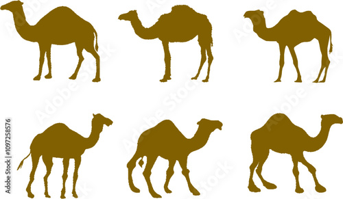 Vector sketch illustration silhouette design drawing of desert animal camel with hump