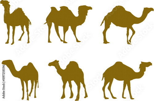 Vector sketch illustration silhouette design drawing of desert animal camel with hump