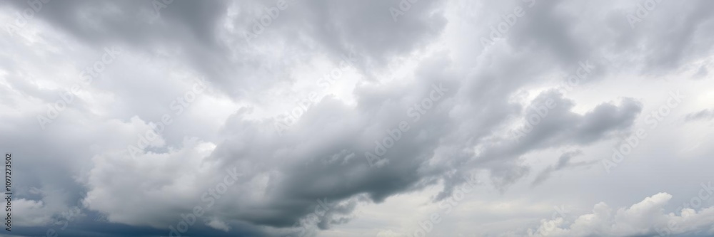 Panorama of Cumulus fluffy white and dark grey storm clouds against sky background, ominous, natural Panorama of Cumulus fluffy white and dark grey storm clouds against sky background, ominous, natural
