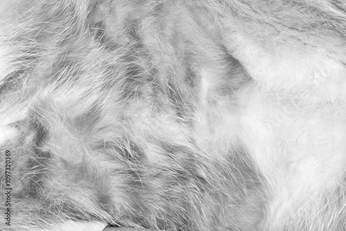 Abstract black grey fur background texture