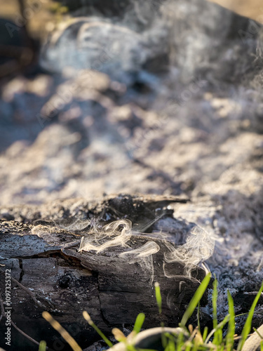 nature, water, stone, rock, sea, fire, plant, texture