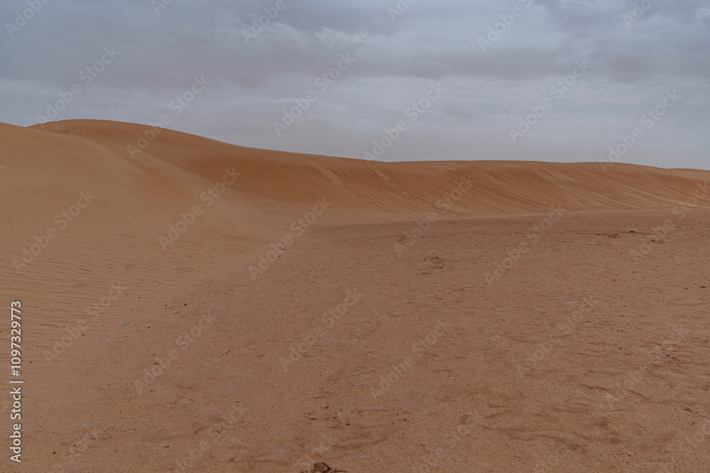 Dunes in the desert creating beautiful landscapes Dunes in the desert creating beautiful landscapes