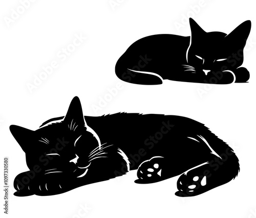 black and white cat