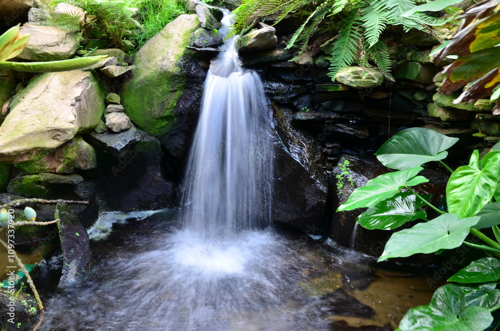 PEQUEÑA CASCADA