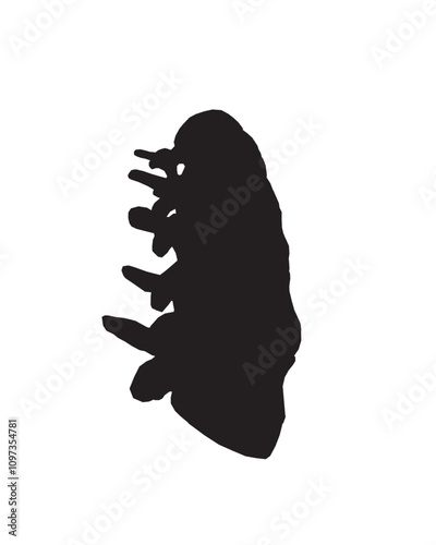 Silhouette Anatomy of normal human Disc. Illustration of Medical diagram about the spine in top view for check disc herniation. nucleus pulposus, annulus fibrosis.