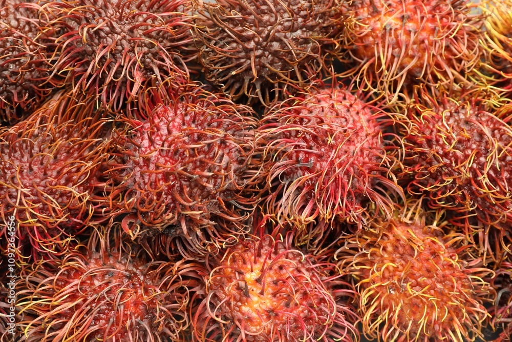 Pile of fresh rambutans as background, closeup Pile of fresh rambutans as background, closeup