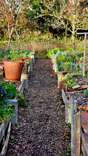 Walkway in a community garden in the city