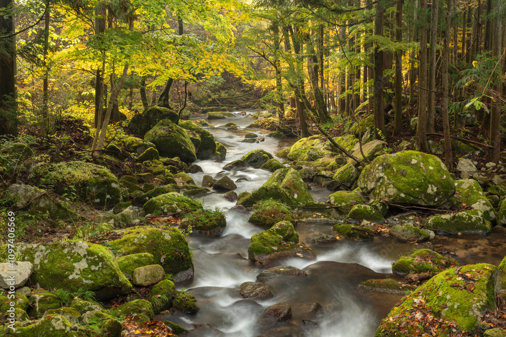 Obraz premium 福島県矢祭町 秋の滝川渓谷
