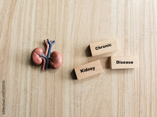 A miniature kidney model is placed beside three wooden blocks spelling 