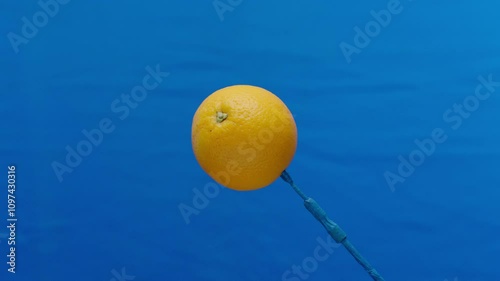 lemon on blue screen