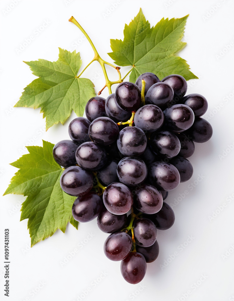 Fototapeta premium Fresh Bunch of Black Grapes Isolated on a White Background.