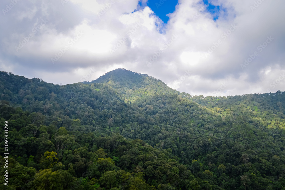 Mountain and tree in Northern Thailand,South East Asia Mountain and tree in Northern Thailand,South East Asia