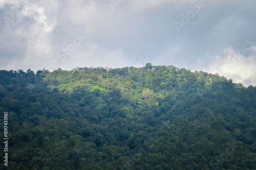 Mountain and tree in Northern Thailand,South East Asia