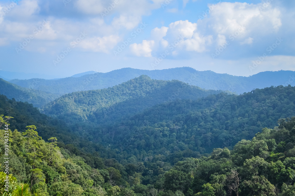Mountain and tree in Northern Thailand,South East Asia Mountain and tree in Northern Thailand,South East Asia