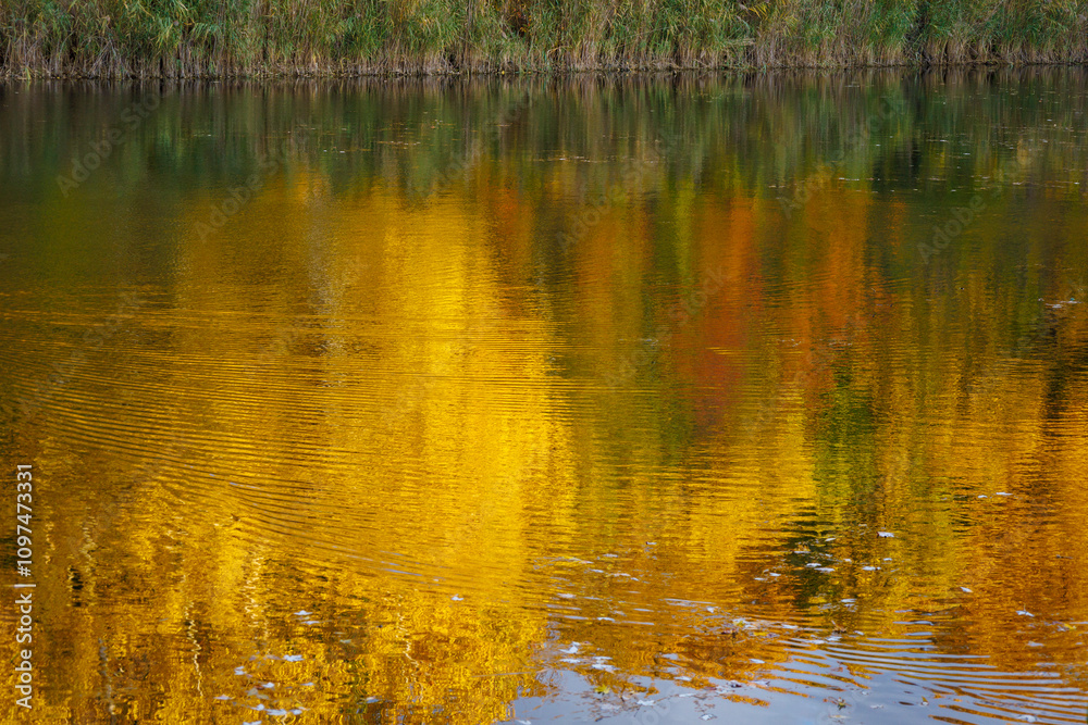 reflections in the water reflections in the water