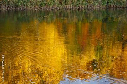 reflections in the water