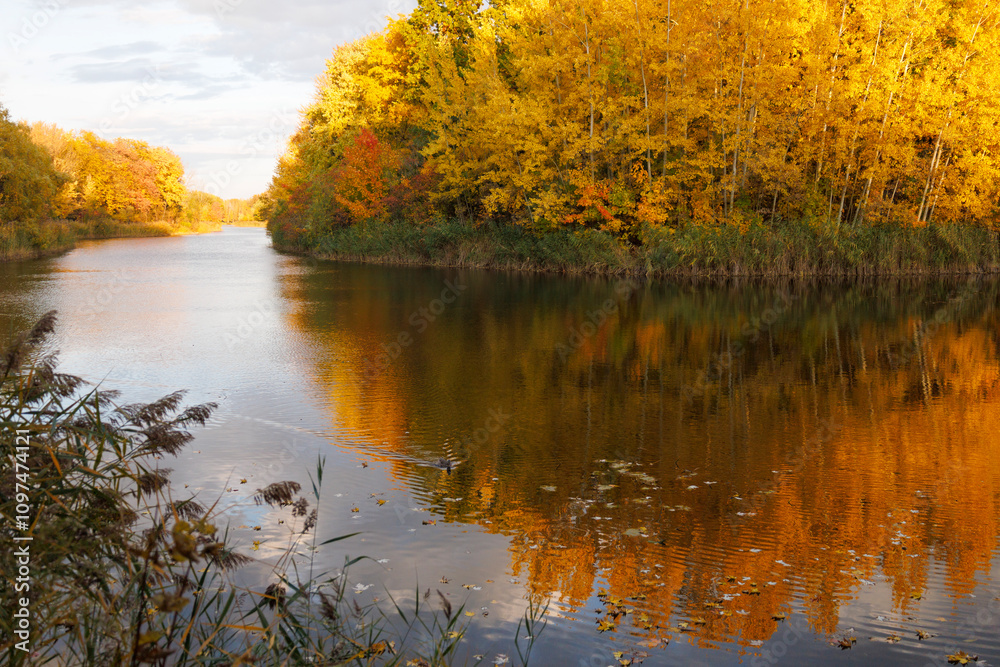 Fototapeta premium autumn landscape with lake