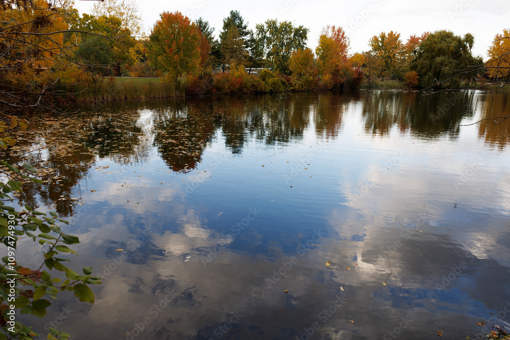 autumn trees reflected in water autumn trees reflected in water