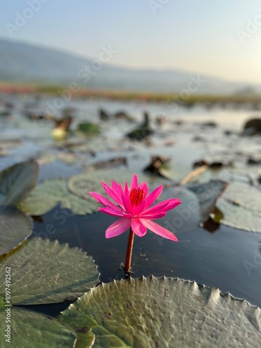  Jaflong, Lalakhal, Sylhet, Bangladesh  photo