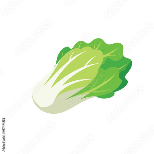 The falling Chinese cabbage isolated flat vector illustration on white background.