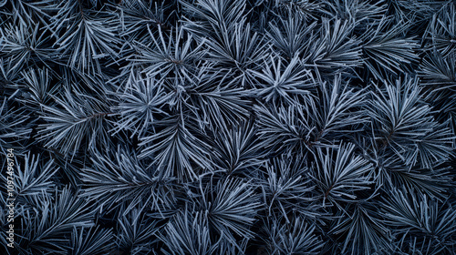 Wallpaper Mural Frosted pine needles create stunning winter landscape, showcasing nature beauty in macro view. intricate details of icy needles evoke sense of tranquility and wonder Torontodigital.ca