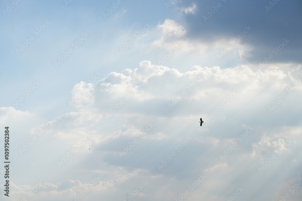 Sky and clouds for background Sky and clouds for background