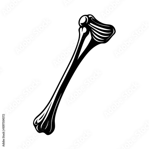 Humerus (Upper Arm Bone) black silhouette vector illustration