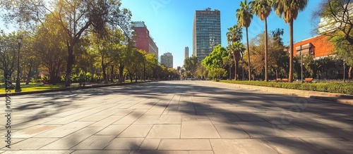 Sunlit city park pathway with skyscrapers in background.