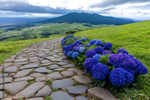 A vibrant depiction of Azorean hydrangeas blooming in vivid blues and purples, lining a cobblestone path near a volcanic crater photo