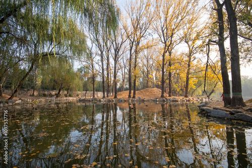 Beautiful autumn view of Yuanmingyuan Park in Beijing, China photo