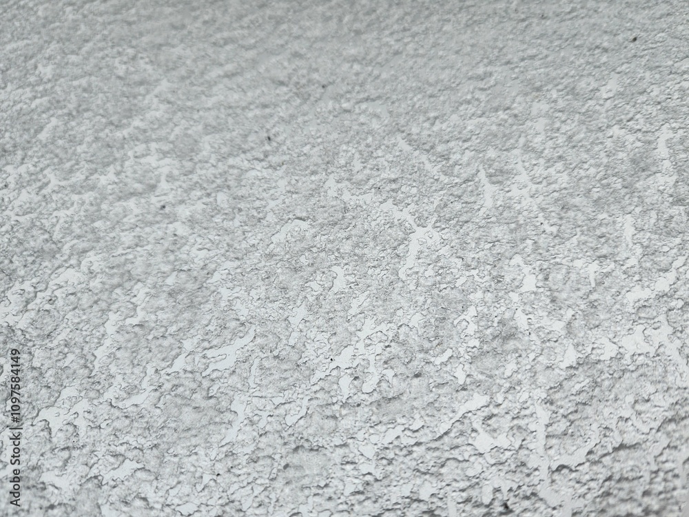 Obraz premium snow on the wall