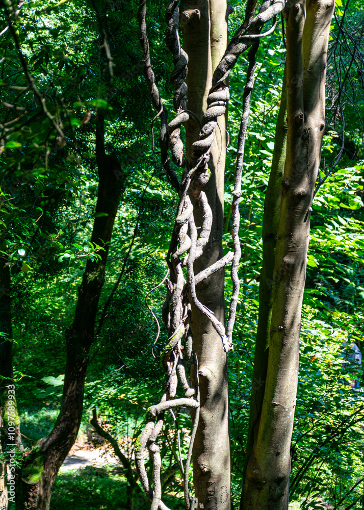 Fototapeta premium beautiful park in summer, various details from the park