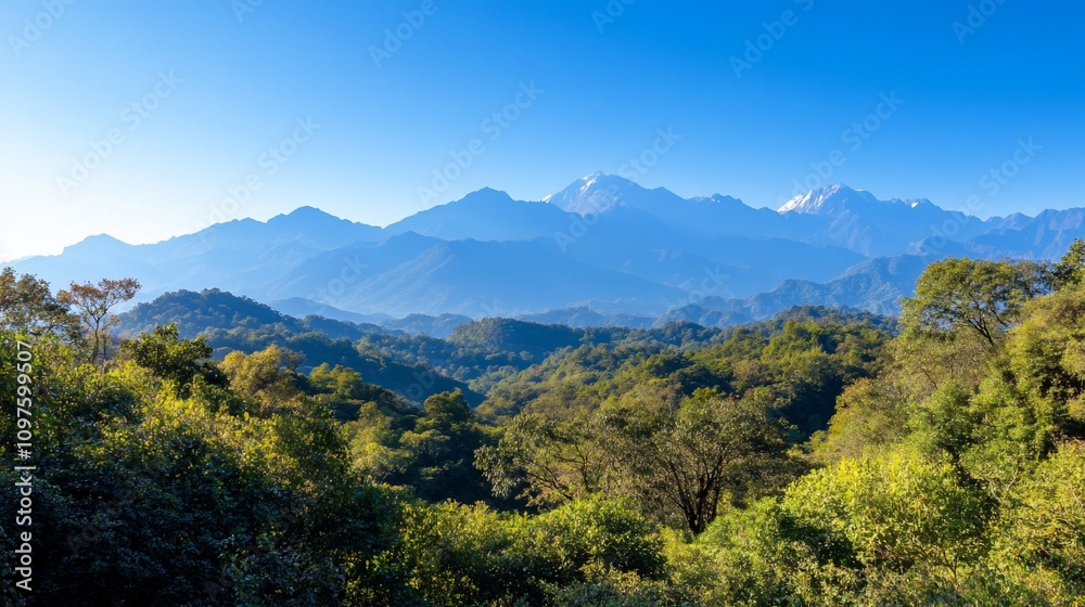Panoramic view of lush green forest with distant majestic mountains under a clear blue sky. Panoramic view of lush green forest with distant majestic mountains under a clear blue sky.