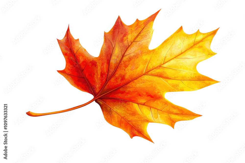 Fototapeta premium A vibrant autumn maple leaf displaying striking shades of red and orange.