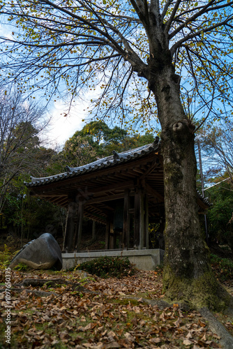 書写山圓教寺 photo