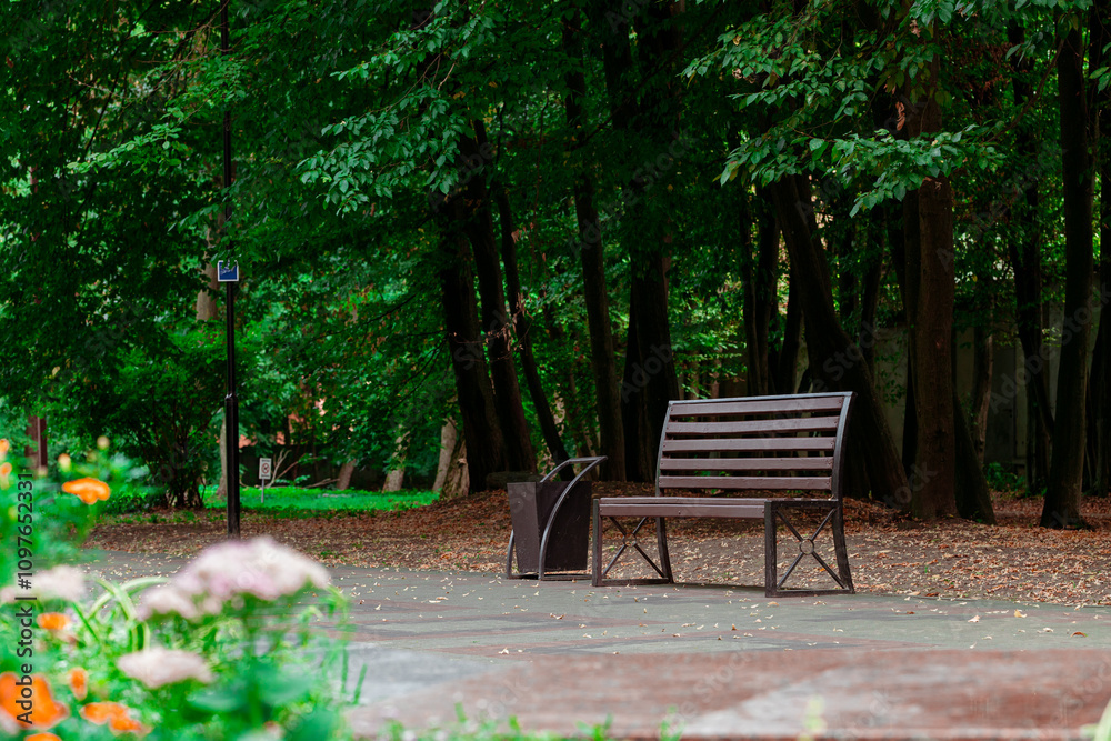 summer morning park empty wooden bench pavement alley way for walking outdoor natural environment landscaped space summer morning park empty wooden bench pavement alley way for walking outdoor natural environment landscaped space