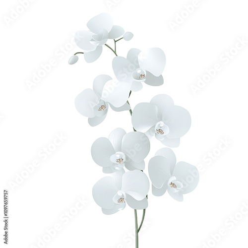 A bouquet of orchids, luxury botanical collection, minimalist line art, monochromatic shades, isolated on white background