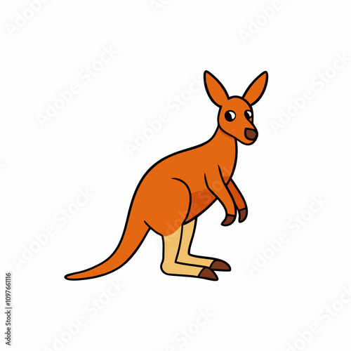 kangaroo illustration