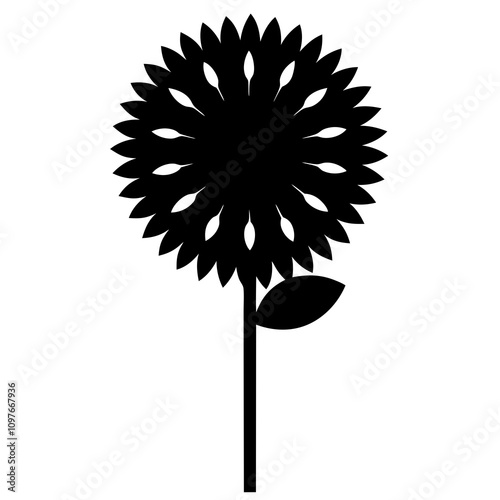 dandelion flower isolated on white