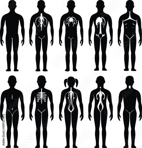 Human Anatomy Silhouettes: Medical Illustration of Skeletal, Respiratory, Digestive, & Nervous Systems in Black & White Vector Graphics