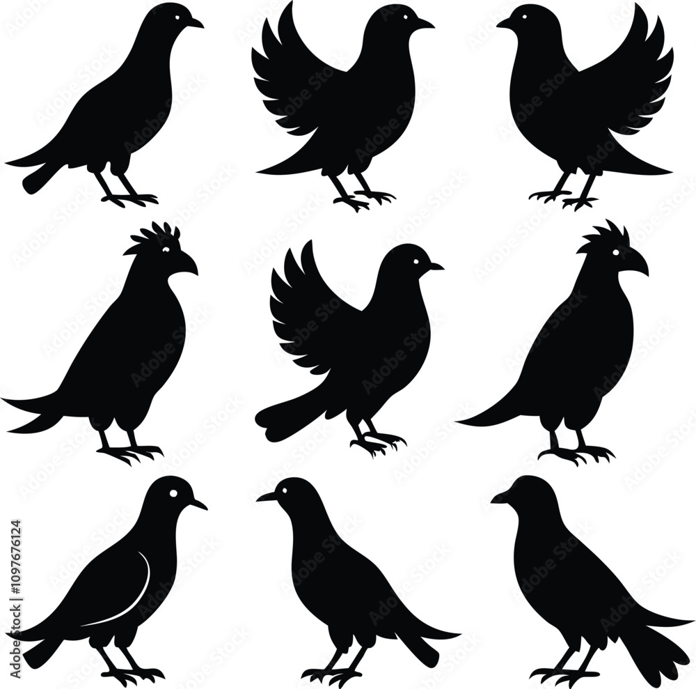 Fototapeta premium Black Bird Silhouettes Vector Art: Flying Pigeon, Dove Graphics, Bird Clip Art, Wildlife Illustration, Ornithology Design Elements