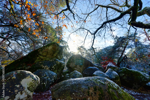 Old medallion of the  Barbizon Artists in The Apremont Gorges. Fontainebleau forest photo