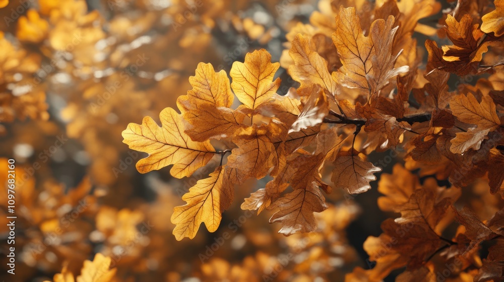 Close-up of vibrant golden oak leaves in autumn, showcasing nature's rich textures and warm tones. Close-up of vibrant golden oak leaves in autumn, showcasing nature's rich textures and warm tones.