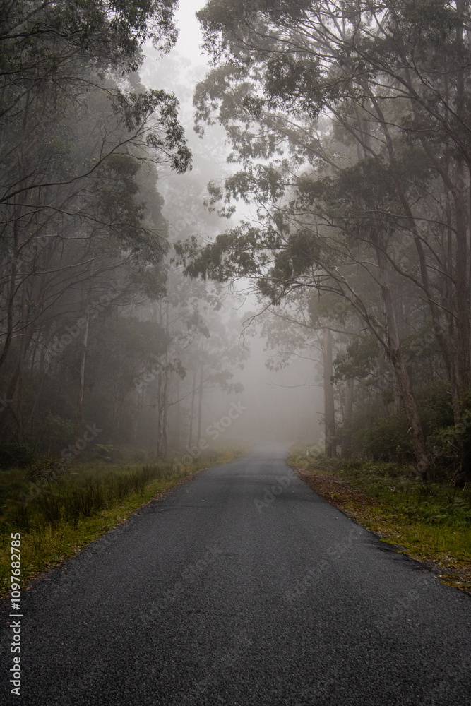 A misty morning on a mountain road A misty morning on a mountain road