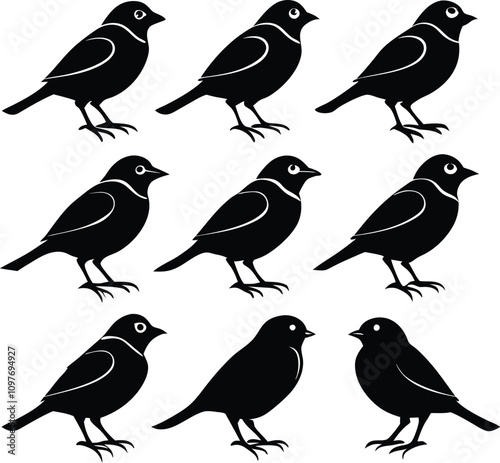Wallpaper Mural Silhouette Birds Vector Illustration: Graphic Design of Black Birds in a Group, Ornithology Art, Birdwatching Theme, Animal Clipart Torontodigital.ca