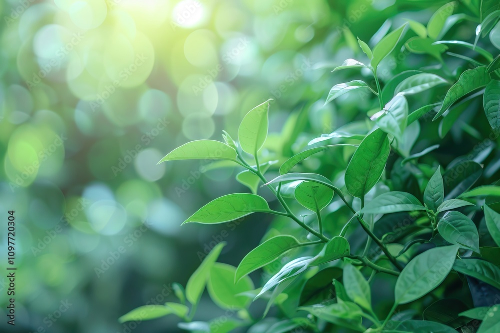 Fresh green leaf in nature garden background for wallpaper. Fresh green leaf in nature garden background for wallpaper.