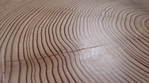 This is a macro shot of treerings. A wooden disk is spun so that the yearrings are nicely visible from very close up. photo